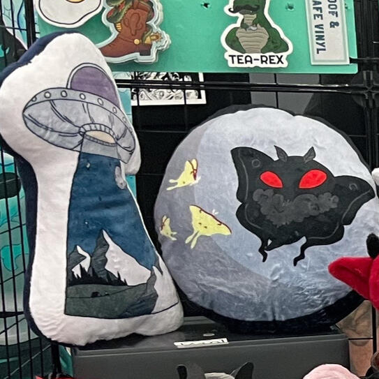 Illustration Pillows